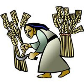 Icon1_Color_041.jpg