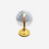 Thumbnail: Crystal Globe