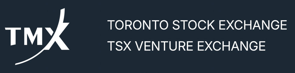 The Toronto Stock Exchange (TSX) is emerging as a Global HealthTech Hub in 2025