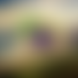 What’s Spurring the Rise of Brazil’s HealthTechs?