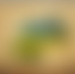 Rwanda : The Digital Health Pioneer