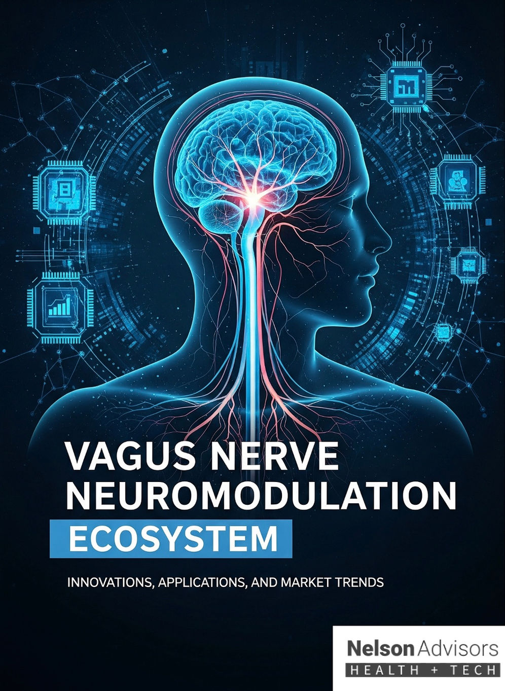 Vagus Nerve Neuromodulation