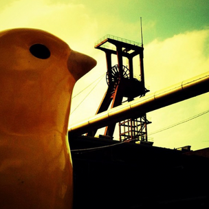 Smile Direct Club: Canary in the B2C Digital Health Coalmine?