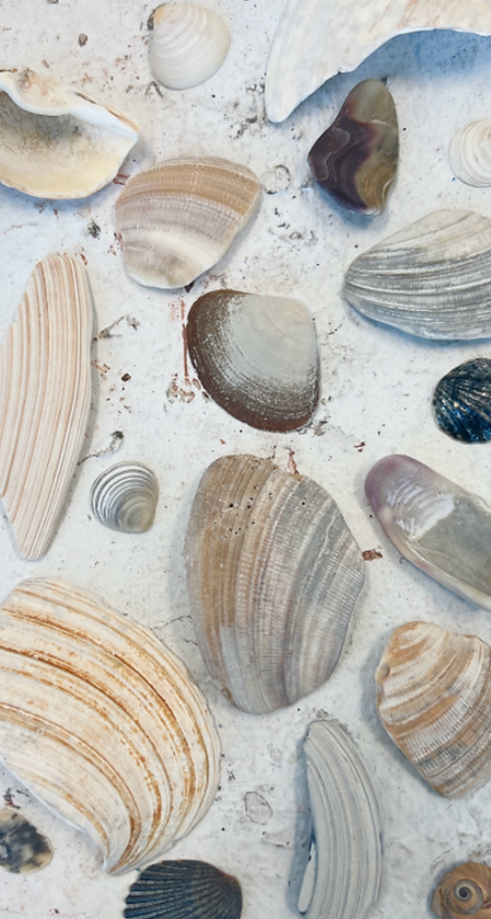 Screenshot 2025-12-06 205840.png