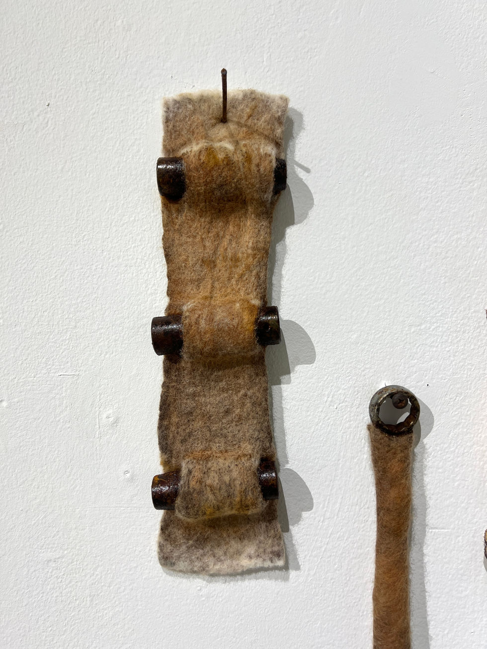 Fairbrother_Brianna_Material_As_Evidence_Installation_Image_3