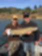 Steelhead_Show-off_Pair1.jpeg