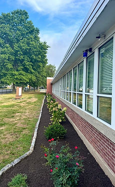 HOA landscaping maintenance before and after — community entrance in Tarrant County by Platinum Landscaping