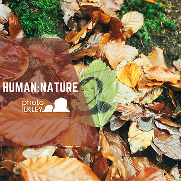 Blog Banner for Website Content (600 x 600 px)-2.png