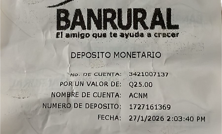 Ejemplo Boleta.jpg