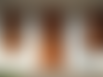 Why Paraty Colonial Properties Are a Unique Investment