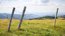 Cévennes