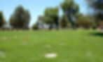 Lawn Section