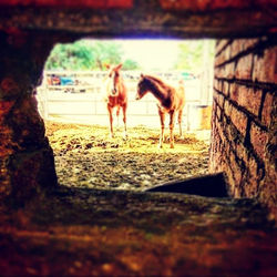 Photo credit to_ Jess Brynjulson aka Chi