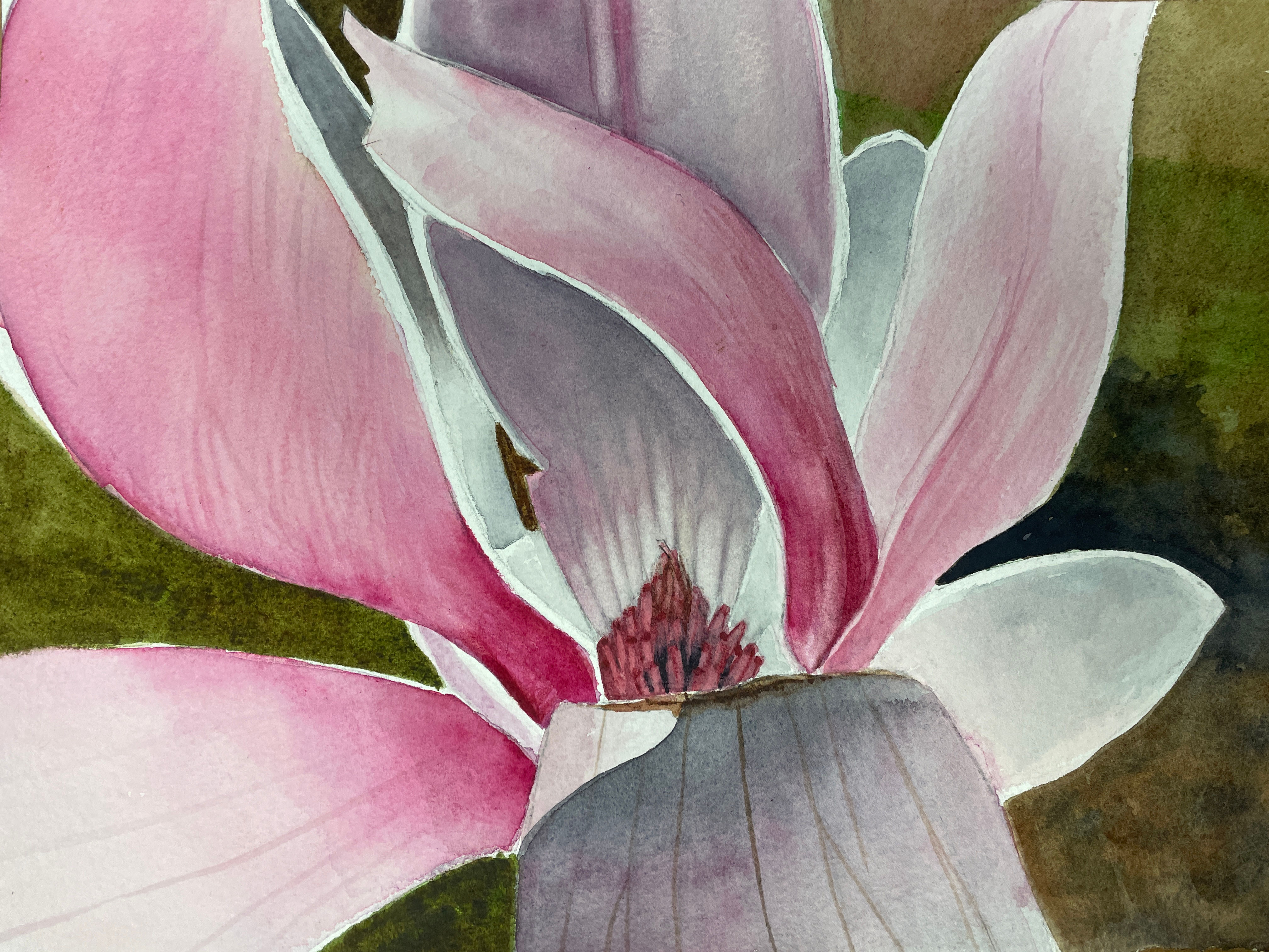 at The Highlight Gallery:  Magnolia Zoom