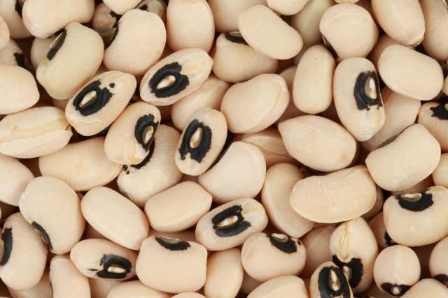 Cow Beans2.jpeg