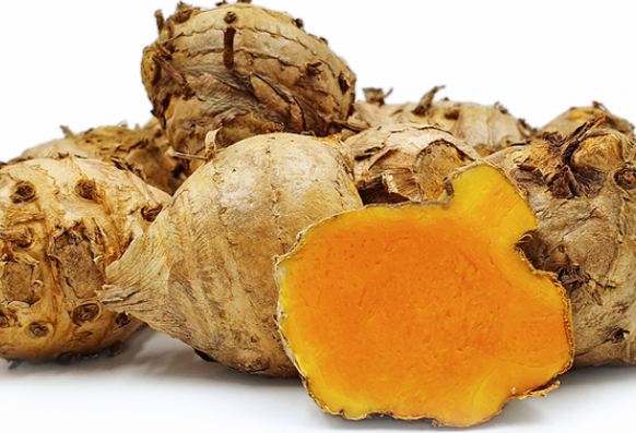 Curcuma 1.png