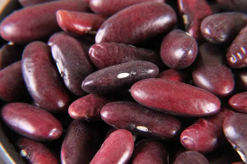 Kidney beans2.webp