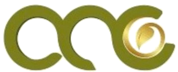IMG-20241226-WA0004_edited.png