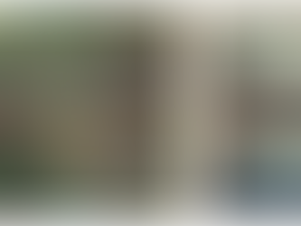 ‘Looking East’ Looks at How Japan Inspired Western Artists