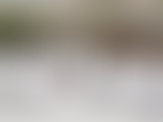 Campaign Launched to Install Tanforan Memorial