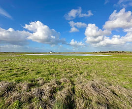 Peaceful Surroundings