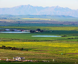 Live in Complete Comfort