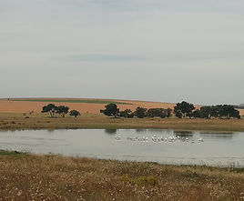 The Best Place to Settle Down