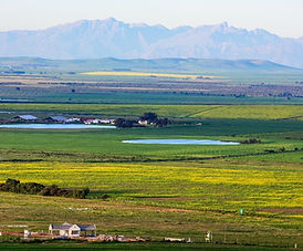 VACANT STAND IN A SECURE ESTATE ON THE OUTSKIRTS OF DARLING
