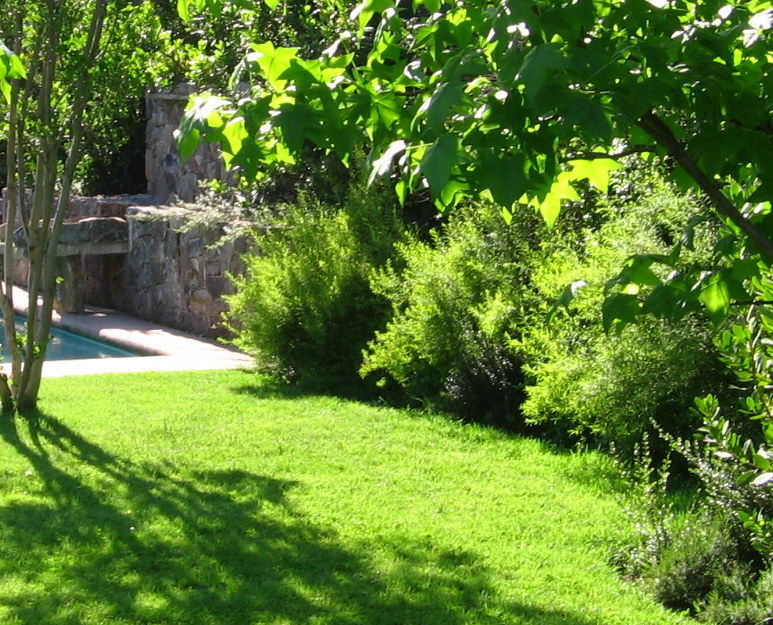 Jardín la cascada        La Dehesa