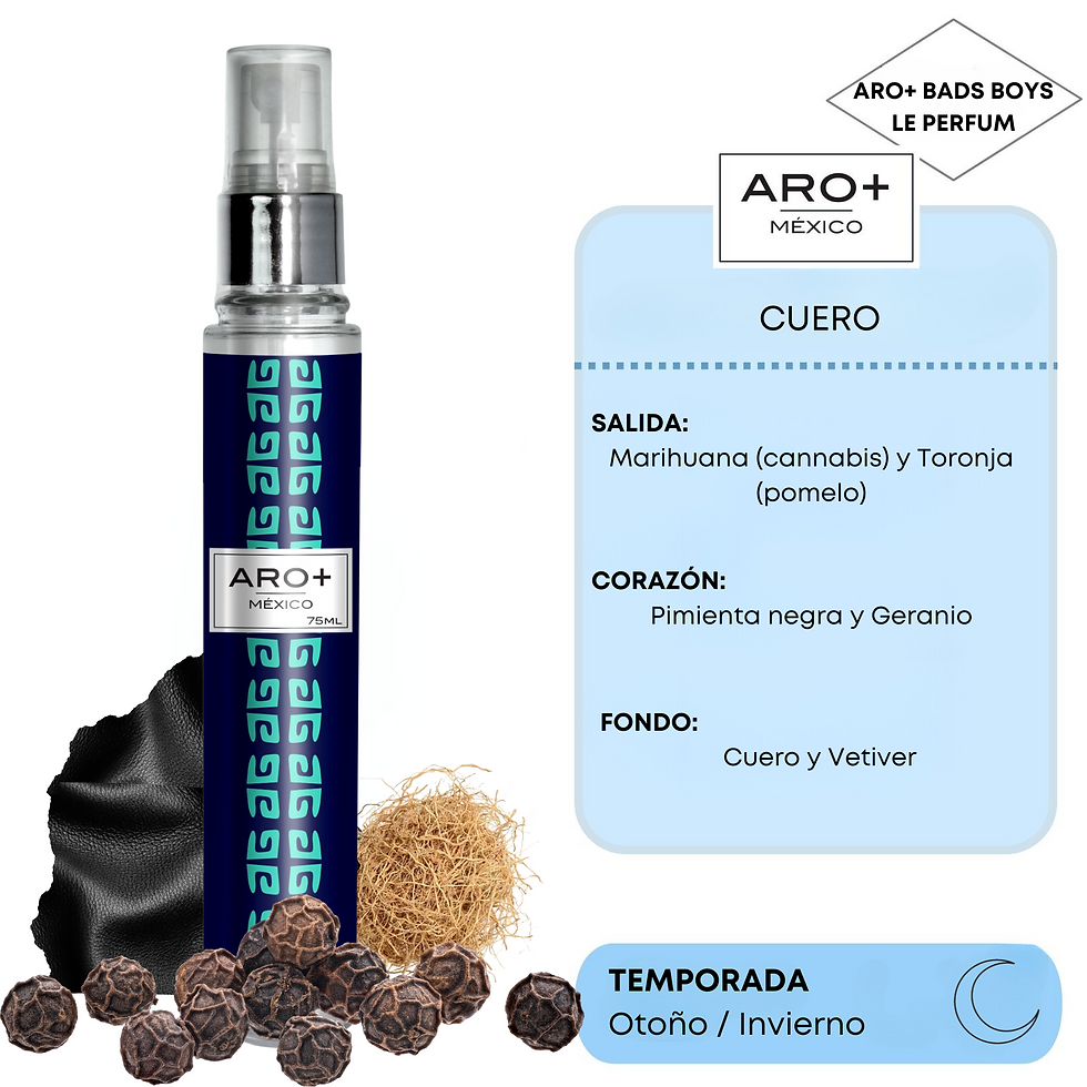  Aro+ Perfume de Caballero