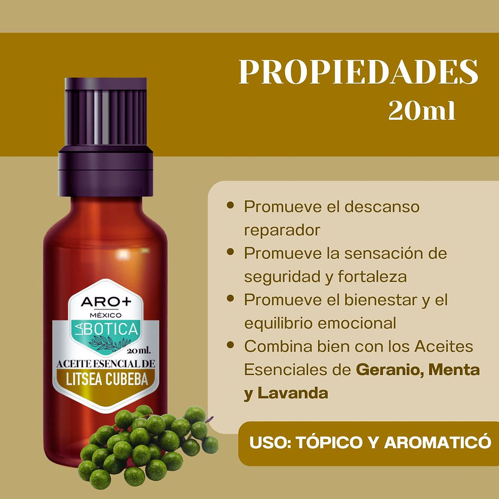 Miniatura: Aceite Esencial Litsea Cubeba Aromaterapia Puro Terapéutico