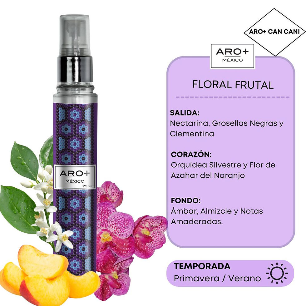 CAN CANI - Aro+ Perfume