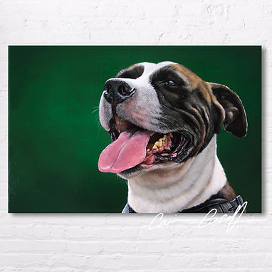 Peinture chien portrait animalier hyperréaliste, animal de compagnie, artiste peintre québécoise. Custom pet portrait.