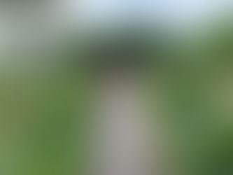 A women in Regency dress walking through a garden.