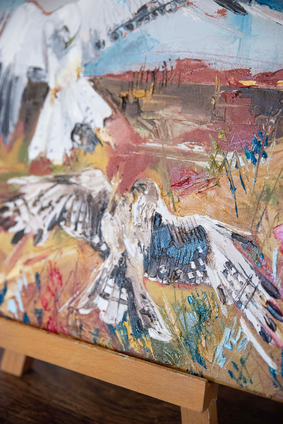 Thumbnail: Sky Dancers