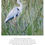 Thumbnail: 'When Beasts Spoke' Postcards - Stag Pack
