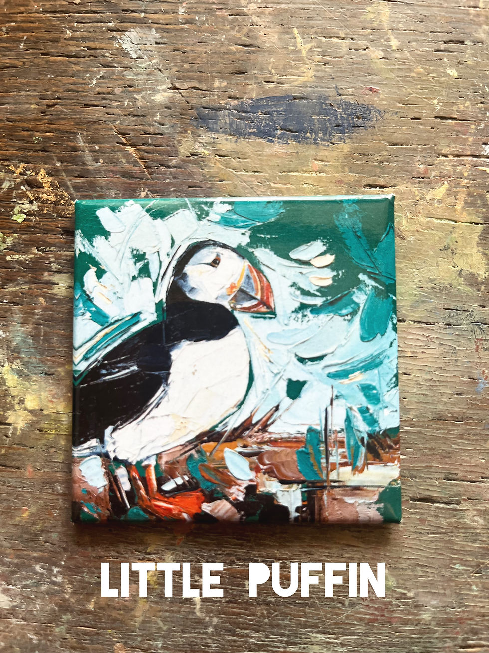 Thumbnail: Magnets - Set of 3
