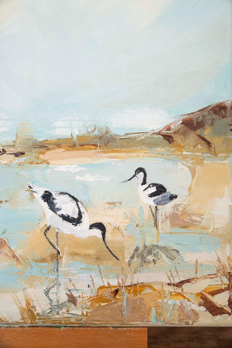 Thumbnail: Avocets