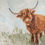 Thumbnail: Curious Coo