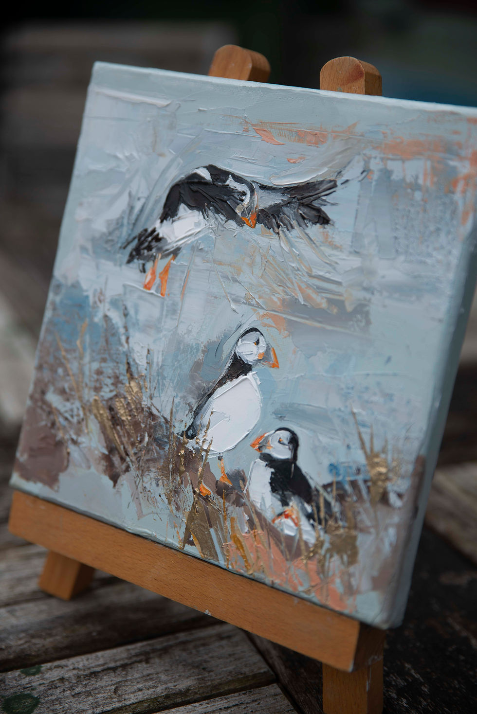 Thumbnail: Three Little Puffins