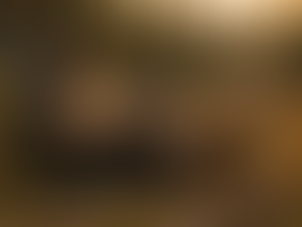 L'orignal d'Amérique du Nord
Une seule espèce... mais quatre géants bien
différents