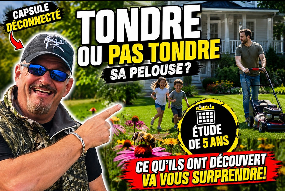 CAPSULE DÉCONNECTÉ : Tondre ou ne pas tondre la pelouse? Et si on regardait la réalité en face...