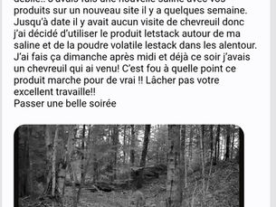 L'effet Letstack à Louis-Philip