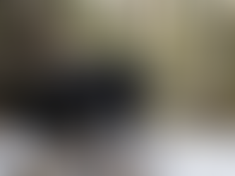 L'ours au printemps : comprendre la perte de poids après I'hibernation