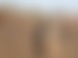 Male ou femelle chevreuil? Lire dans le crottin!