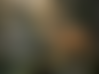 Le cougar le fantôme des forêts québécoises