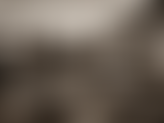 Pourquoi on ne peut pas vendre la viande de gibier?