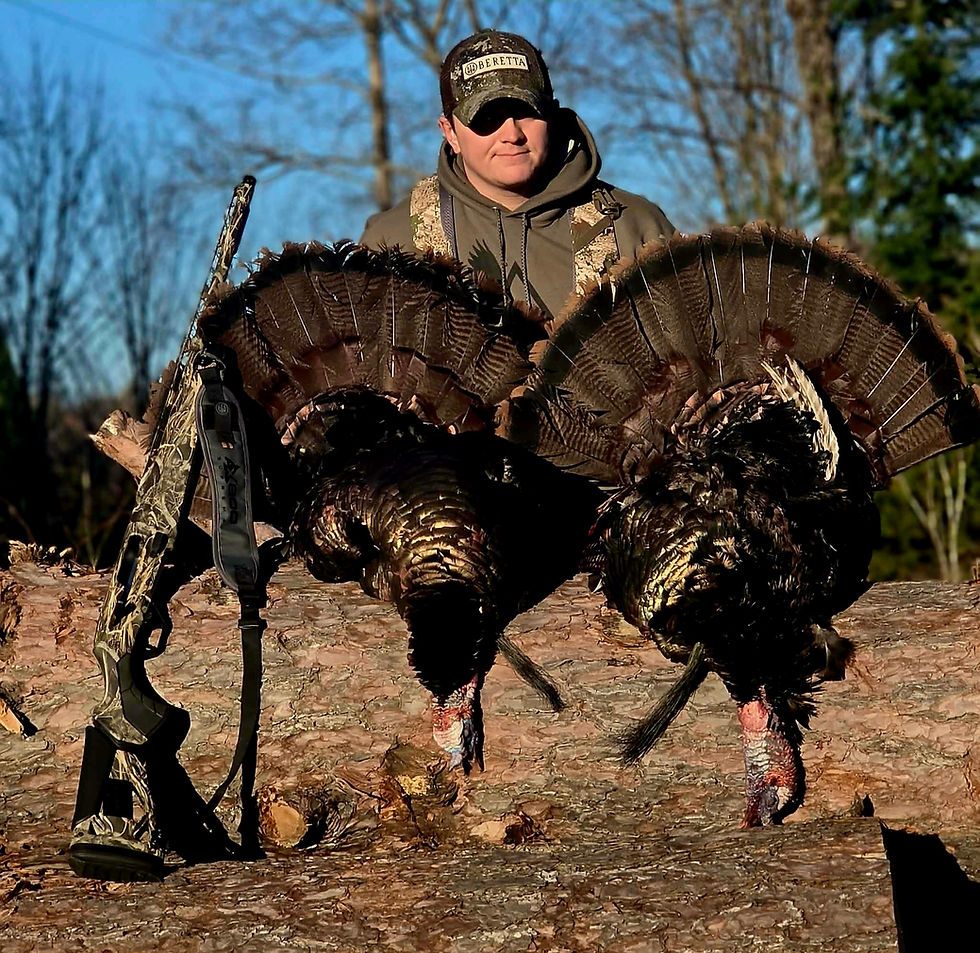 ATELIER DINDON - Chassez le dindon en lisant son quotidien, pas en l’appelant.