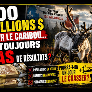 ÉDITORIAL - 100 MILLIONS $ POUR LE CARIBOU… ET TOUJOURS PAS DE RÉSULTATS?