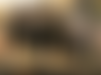 Caméras de surveillance : l’outil qui a changé la chasse moderne